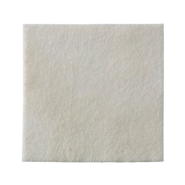 Coloplast Biatain® Ag Silver Alginate Dressing