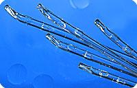 Cure Intermittent Cath Male Coude Tip