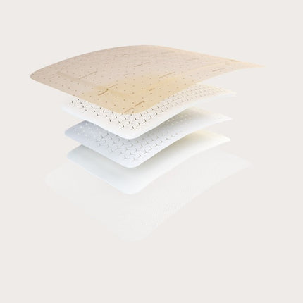 Molnlycke  Mepilex Border Flex
