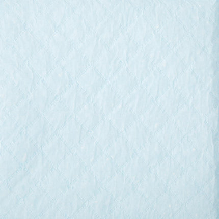 Protection Plus Single-Use Light-Absorbency Underpad, 23" x 36" (58 cm x 91 cm)